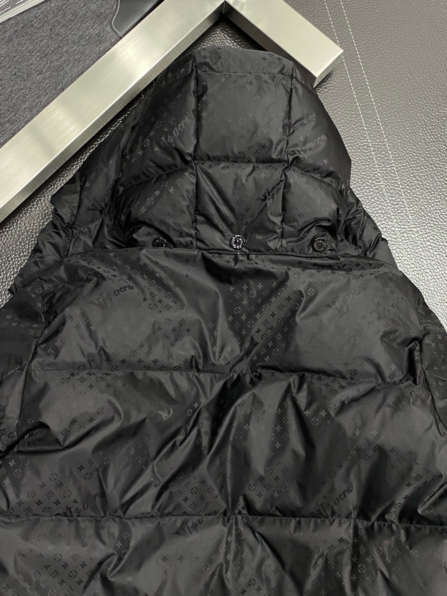 Louis Vuitton Down Jackets